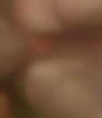 barolo
