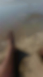 lau62