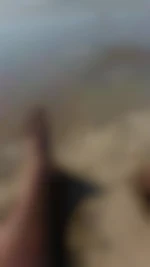 lau62