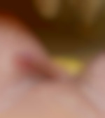 Maxcool66