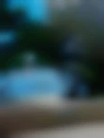 Lann22