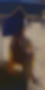 photo de mokazo