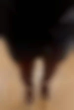 Velvetvoyage