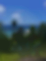 momentcool49