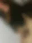 Stefaniboot