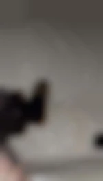 Nini