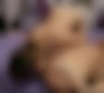 Sandra77