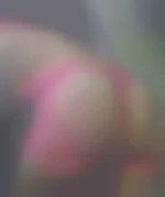 BG