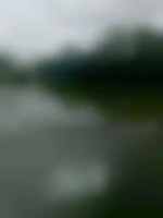Jim