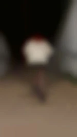Coupleshow