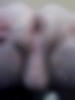 bipassif