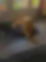 Gaypourbi62?