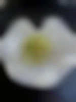 Bi27500