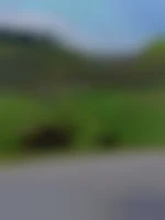 Envibi48