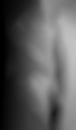 french_trotter