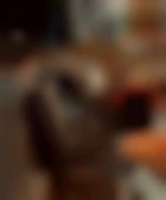 Vgble1