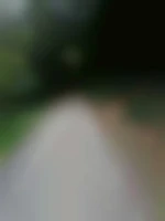 seblm