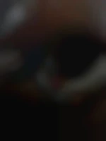 Panpan69