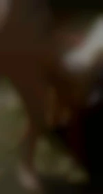 Regardbleu