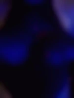 Bonnietaz