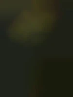 Jhchcplouf