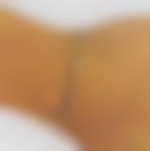 lovetest