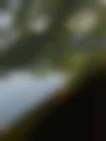 Duplaisir65