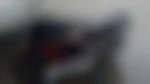 Coquin67
