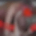 Pail69
