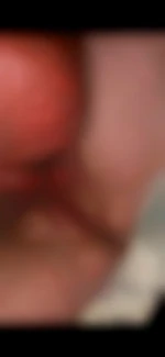 PlaisirAv2