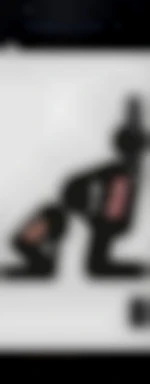 Bipassifsoum70