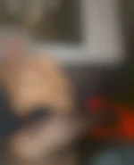 Blondie_lireSVP