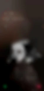 Hetero