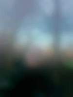 PAYSAGISTE35