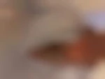 michael94