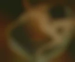 cpljeux95