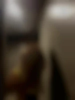 Bull40