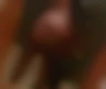 Pourmale4pattes
