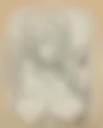 Facefuck6927