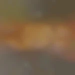 Eric10