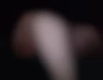 Bigbuttbear