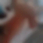 Degemer31