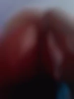 Petittroubi