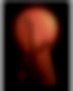 Photo de barondesborees