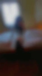 Alessandra4girl