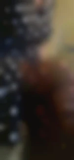 Bellelingerie44