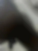 Salopnoir