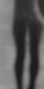 Fanjero