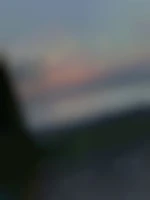Black-Actif