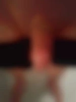 Accrobitelisse